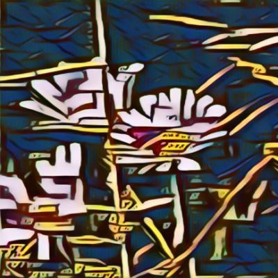 Avatar for _SericR 🇨🇦🇺🇦🇬🇱