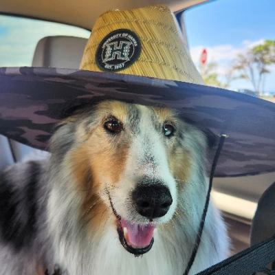 Avatar for Restless Lip Syndrome