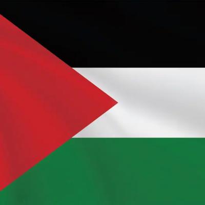 Avatar for Canvases By Peter 🇵🇸