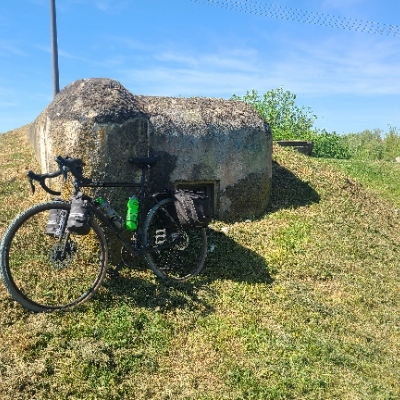 Avatar for plactagonic