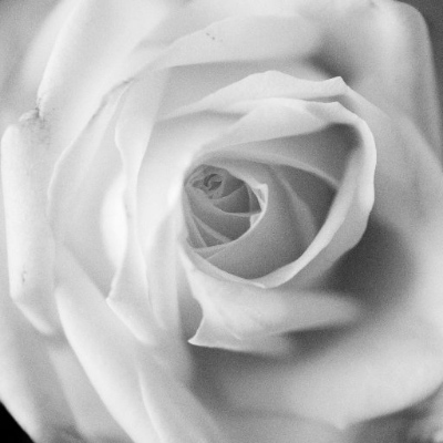 Avatar for eddy berthier