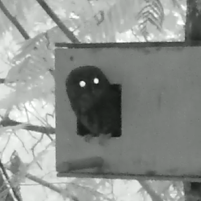 Avatar for Oliver Seiler