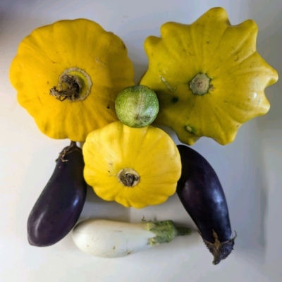 Avatar for 🏳️‍🌈 Sabina Lorenz 🦄