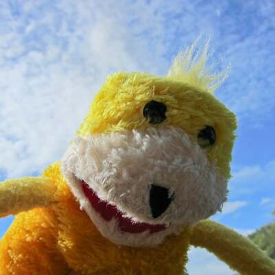 Avatar for ZeroGravitas