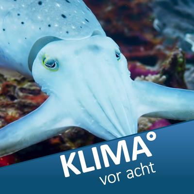 Avatar for Sepia Fan