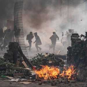 Avatar for Subalt dog