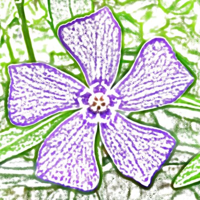 Avatar for Antonin Roussel