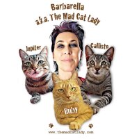 Avatar for The Mad Cat Lady