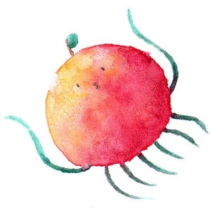 Avatar for 葵野ケイコ