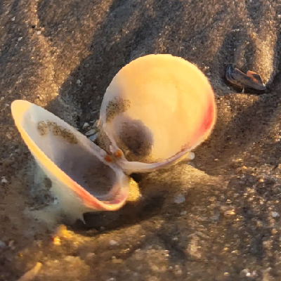 Avatar for nowhereman (nicht der andere!)