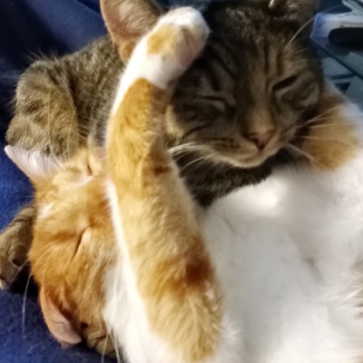 Avatar for Sabija 🍀🌈💫