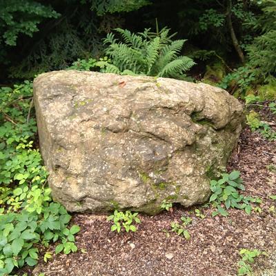 Avatar for Stoabrogga