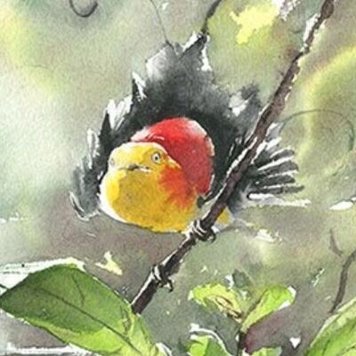 Avatar for On veut l'AP !