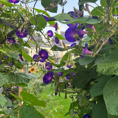 Avatar for JimmyB (he/him)