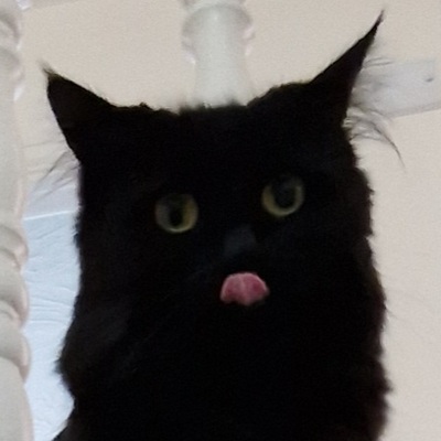 Avatar for éric 🚲 🇪🇺 :emacs: