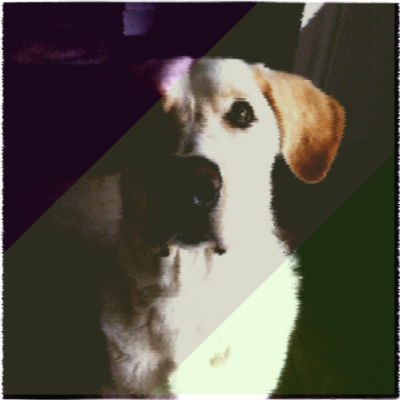 Avatar for luukanikos