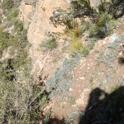 Avatar for King of Tors