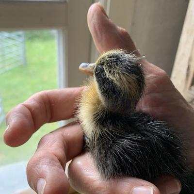 Avatar for JeniParsons