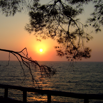 Avatar for Mark Hughes