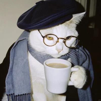 Avatar for Jamie Cullen