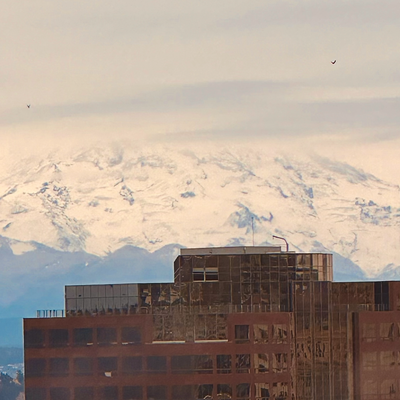 Avatar for Spaghetti Jaguar