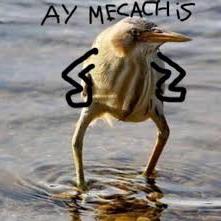 Avatar for jan Lunali