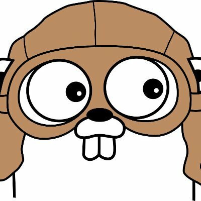 Avatar for Golang News and Libraries
