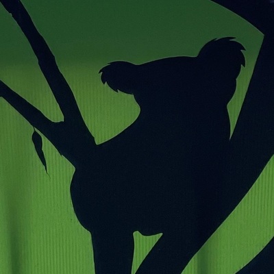 Avatar for BellingenNSW