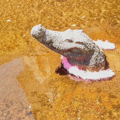 Avatar for stevE 🌼