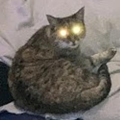 Avatar for Rainer Burkhardt  ❌