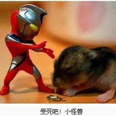 Avatar for Post tenebras lux ⚧️🐋 :vegan: