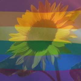 Avatar for tonda 🦇