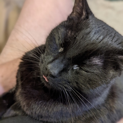 Avatar for Astrobach :breadified: