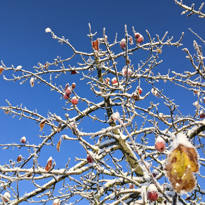 Avatar for Sunnysouth