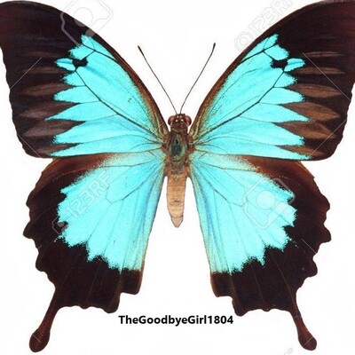 Avatar for TheGoodbyeGirl 🇬🇧♈