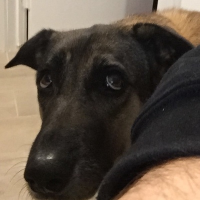 Avatar for 💰Professional Agitator💰