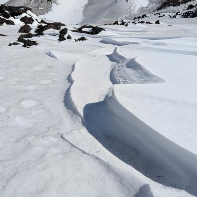 Avatar for SpreadPianism