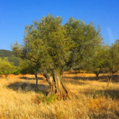 Avatar for Jean-Louis Bouzou