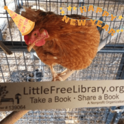 Avatar for A Blue Box Full of Books