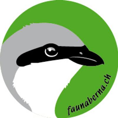 Avatar for faunaberna